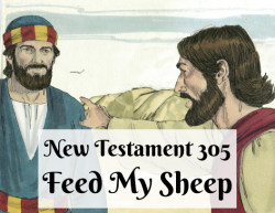 NT 305 - Feed My Sheep